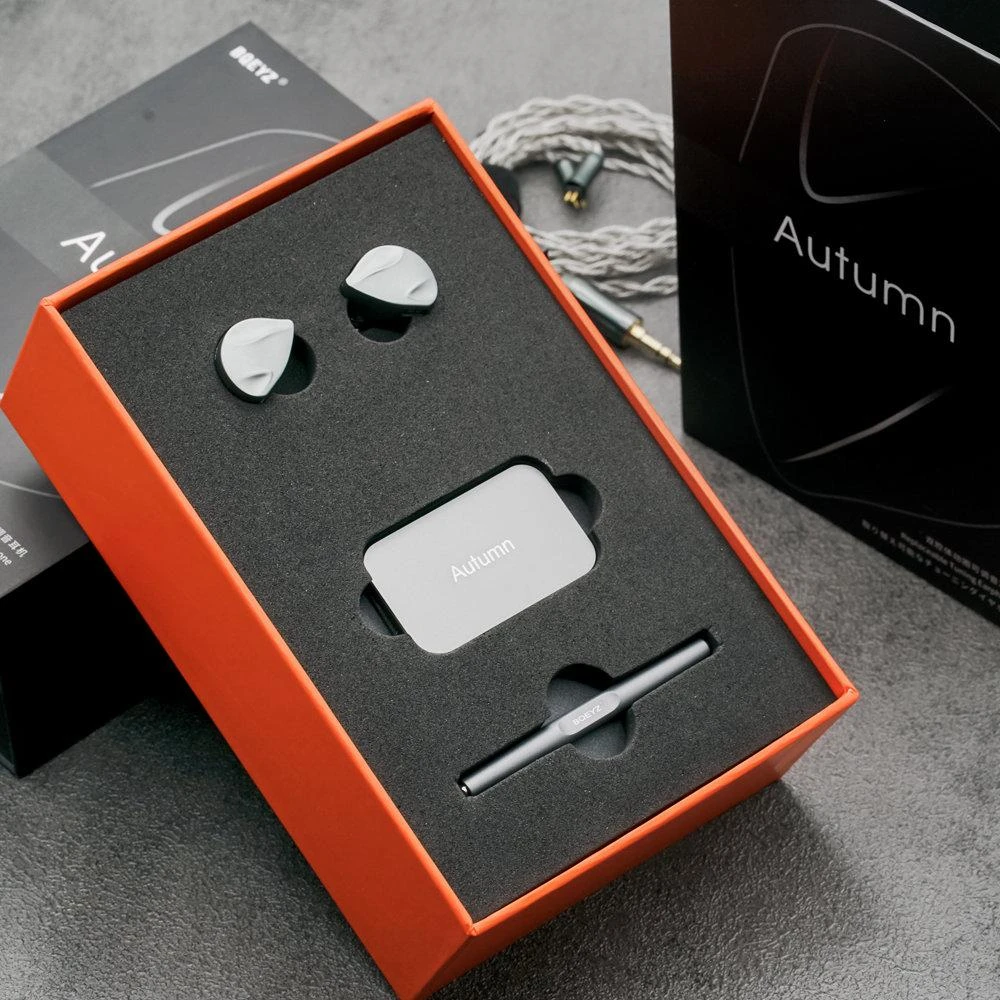 BQEYZ Autumn 13mm Dynamic Driver IEMs - Image 2