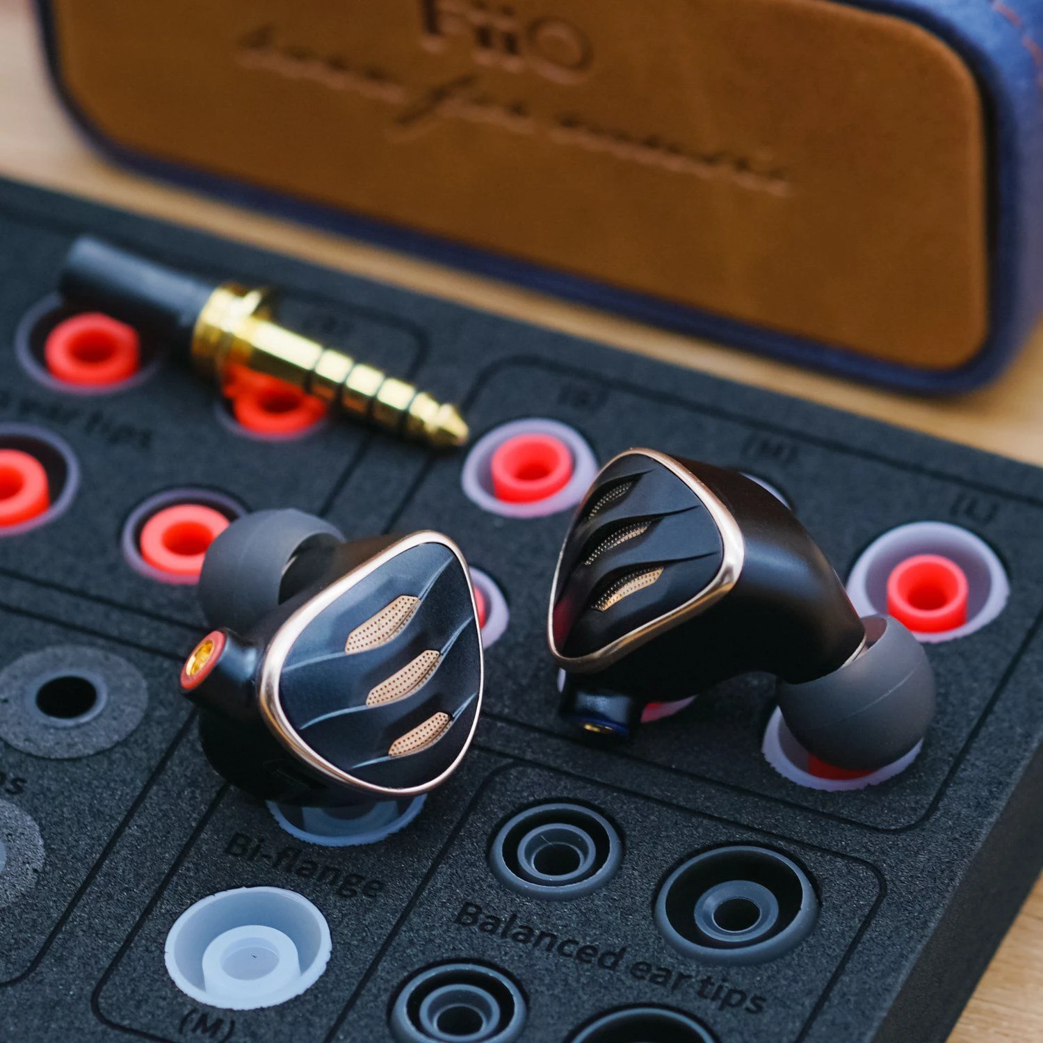 FiiO FH5s Pro 2BA + 2DD Beryllium-Plated In Ear Monitors - Image 3